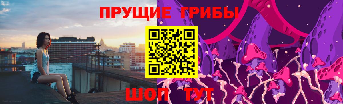 Псилоцибиновые грибы ЛСД  Вход с VPN  Галлюциногенные грибы ЛСД  Тара 