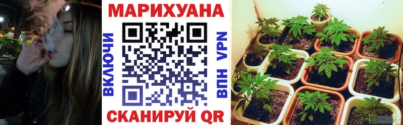 закладка  omg ONION  Конопля OG Kush  Тара 
